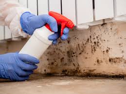 Best Mold Damage Restoration  in Fairmount, CO